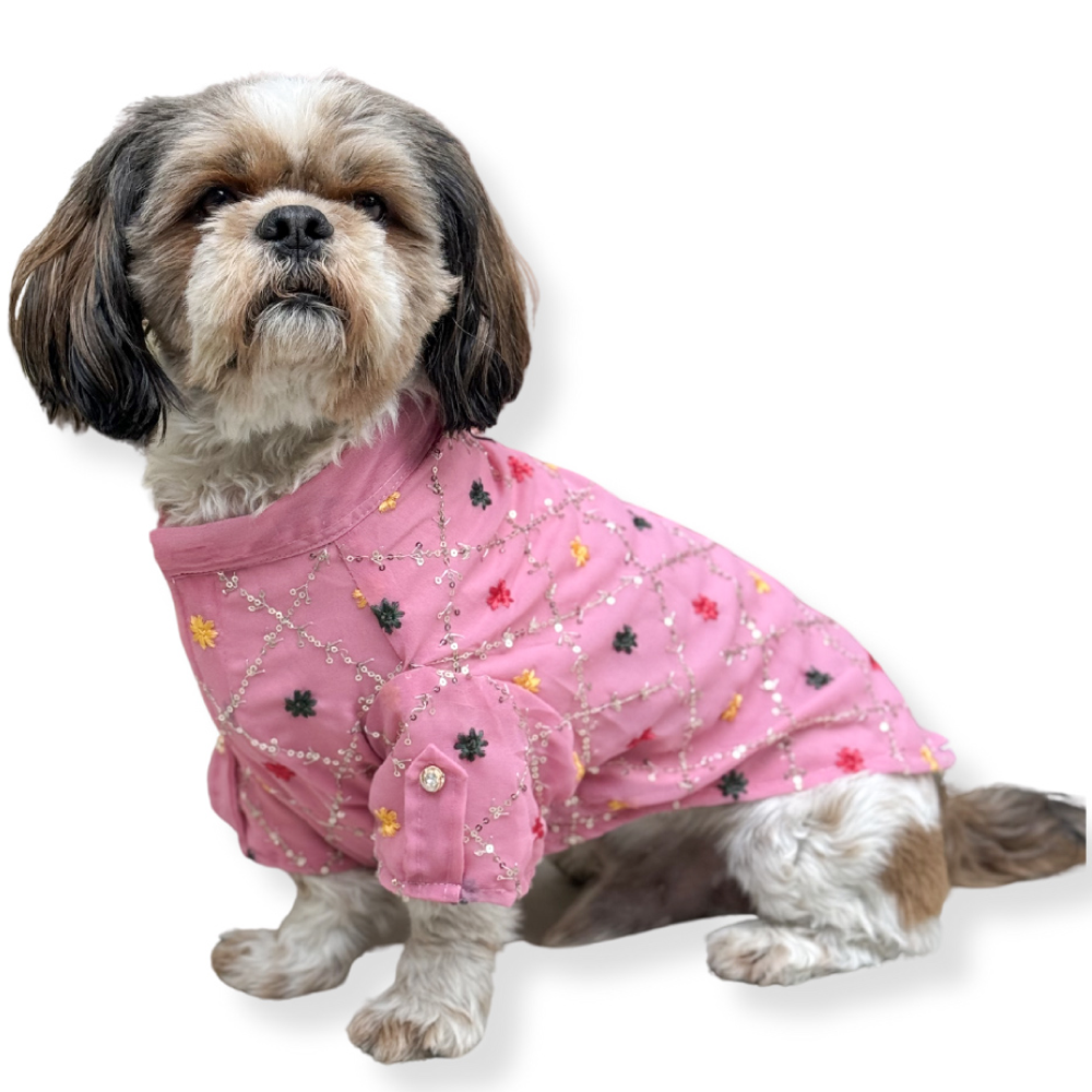 Pawgypets Festive Shirt for Dogs and Cats Pink