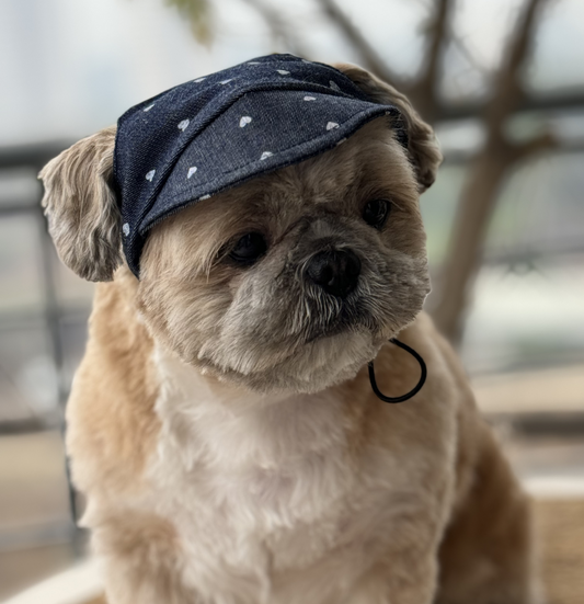 Pawgypets Hearty Cap for Dogs Denim