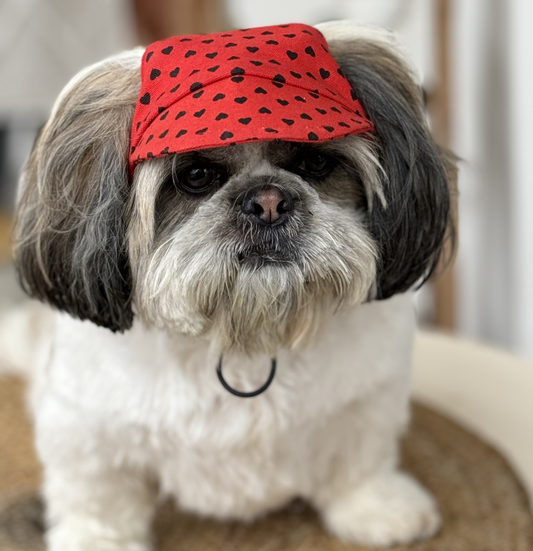 Pawgypets Heart Cap for Dogs Red