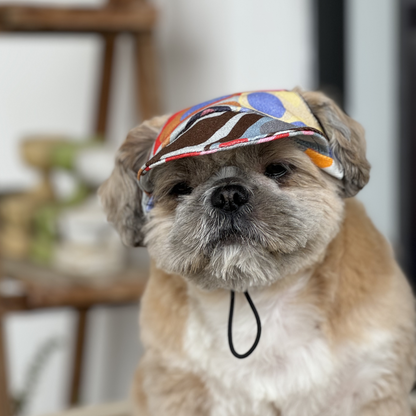 Pawgypets Cap for Dogs Multi Color