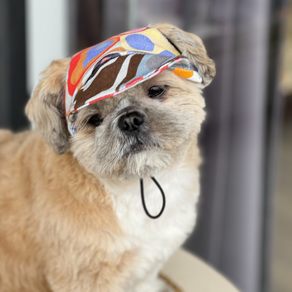 Pawgypets Cap for Dogs Multi Color