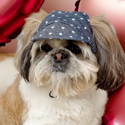 Pawgypets Floral Cap for Dogs Denim