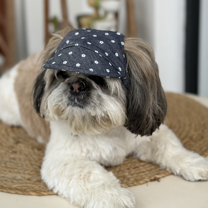 Pawgypets Floral Cap for Dogs Denim