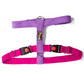 Lets Wag Training and Safety Dual Clip Designed Harness for Dogs PinkPurple