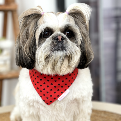 Pawgypets Heart Bandana for Dogs and Cats Red