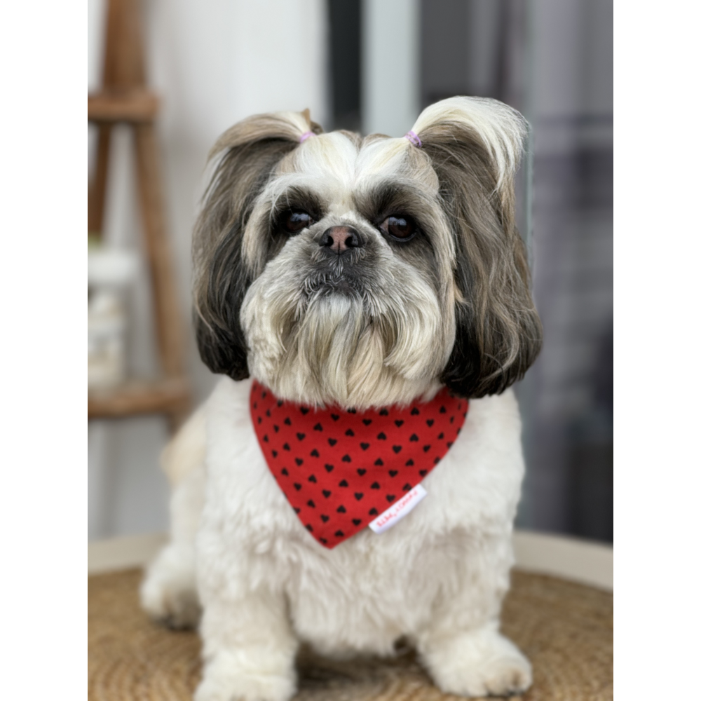 Pawgypets Heart Bandana for Dogs and Cats Red