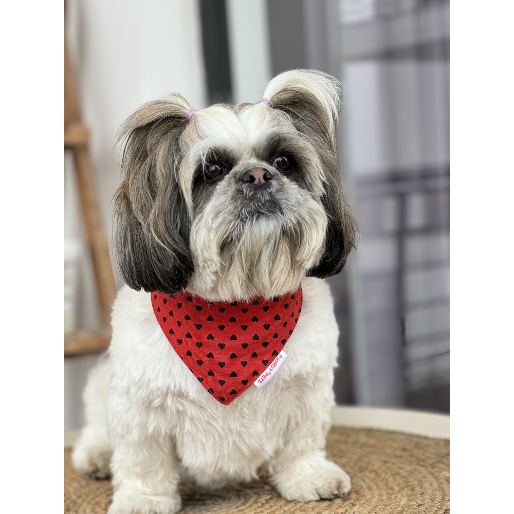 Pawgypets Heart Bandana for Dogs and Cats Red