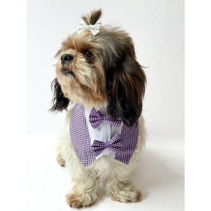 Pawgypets Casual Check Bandana for Dogs and Cats Purple