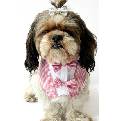 Pawgypets Casual Check Bandana for Dogs and Cats Pink