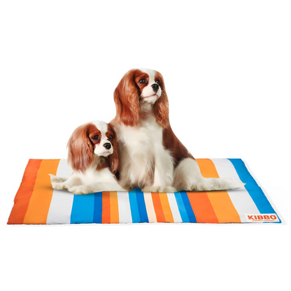 Kibbo Lightweight and Portable Summer Mats for Dogs and Cats OrangeBlue