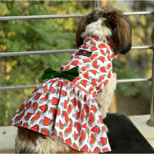 Pawgypets Daisy Melon Dress for Dogs Pink