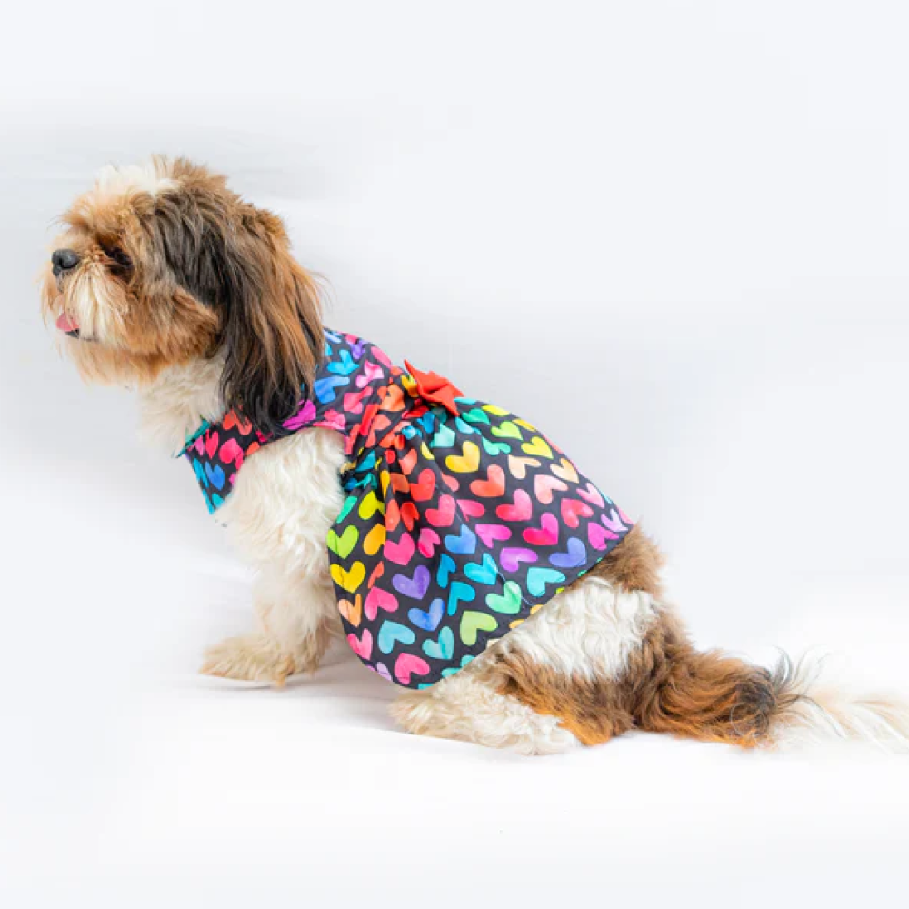 Pawgypet Multi Heart Dress for Dogs Multi Colour