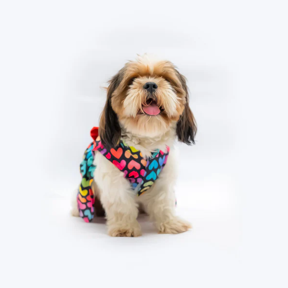 Pawgypet Multi Heart Dress for Dogs Multi Colour