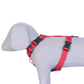 Pets Like H Harness with Collar Clip for Dogs Red
