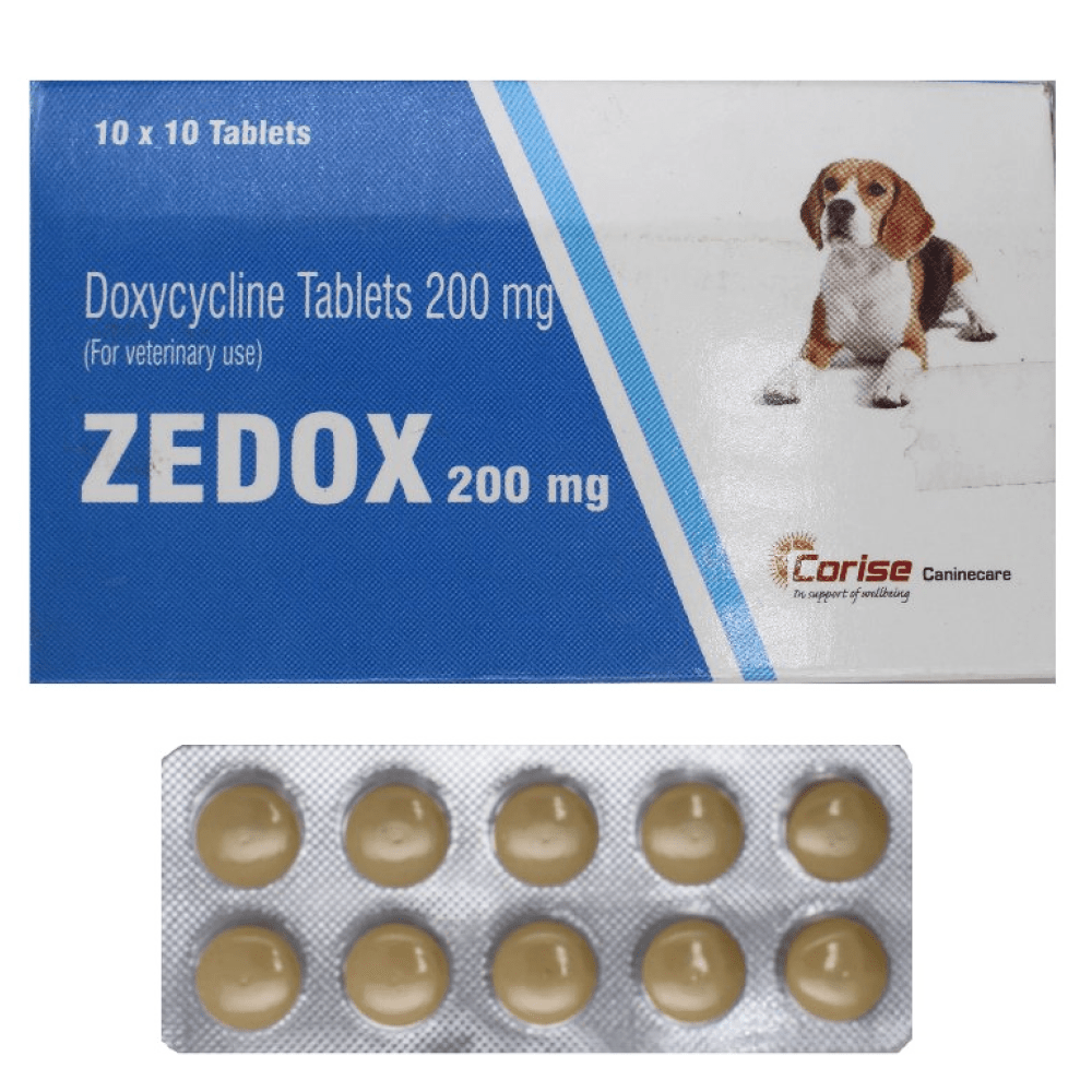 Corise Zedox Doxycycline Tablets for Dogs and Cats pack of 10 tablets