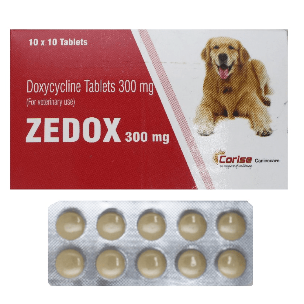 Corise Zedox Doxycycline Tablets for Dogs and Cats pack of 10 tablets