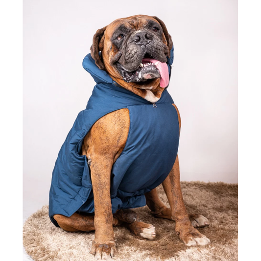 Petsnugs Water Resistant Jackets for Dogs and Cats Blue