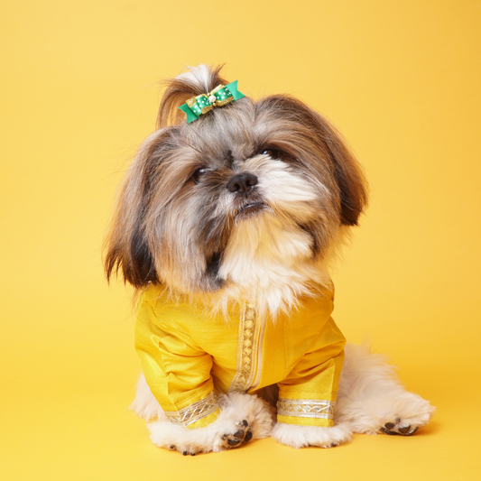 The Papaw Cartel Silk Gotapati Kurta For Dogs Yellow