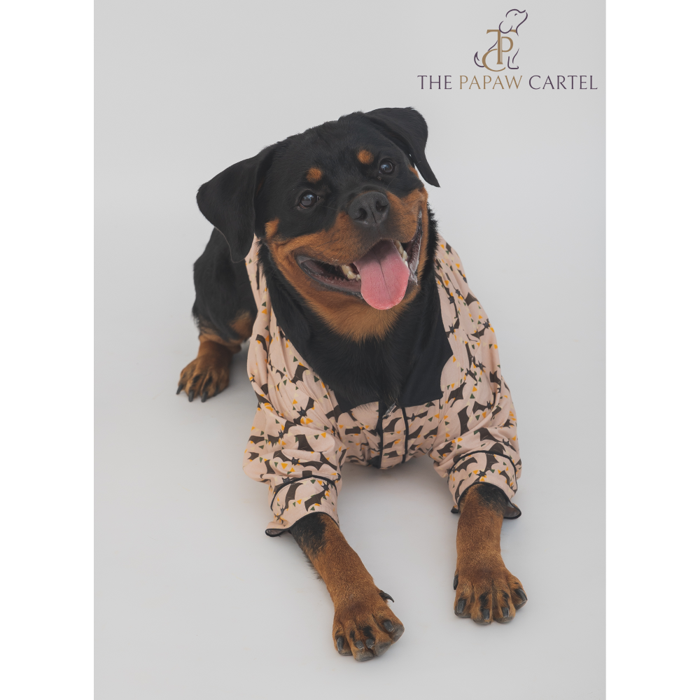 The Papaw Cartel Bat And Bunting Shirt With Bat Wing Collar for Dogs Peach