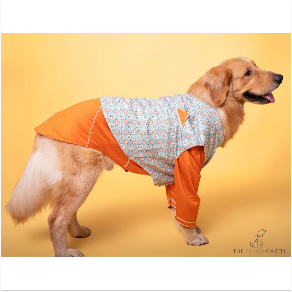 The Papaw Cartel Floral Aztec Koti With Kurta for Dogs Mint BlueOrange