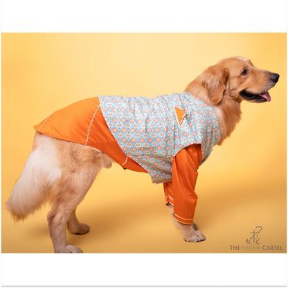 The Papaw Cartel Floral Aztec Koti With Kurta for Dogs Mint BlueOrange