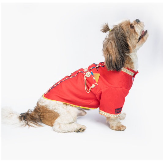 Pawgypets Raw Silk Sherwani for Dogs and Cats Red