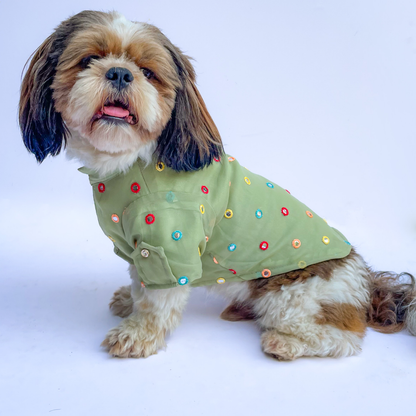 Pawgypets Festive Shirt for Dogs and Cats Pista Green