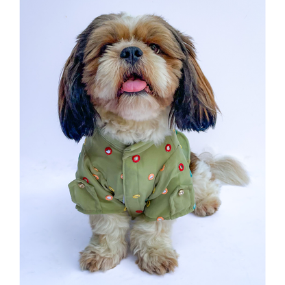 Pawgypets Festive Shirt for Dogs and Cats Pista Green