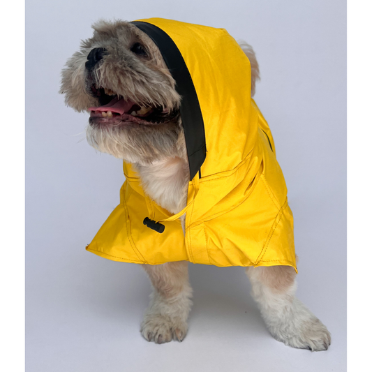 Pawgypets Raincoat for Dogs and Cats Yellow Taxi