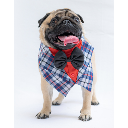 Pawgypets Waistcoat Bandana for Dogs and Cats Blue
