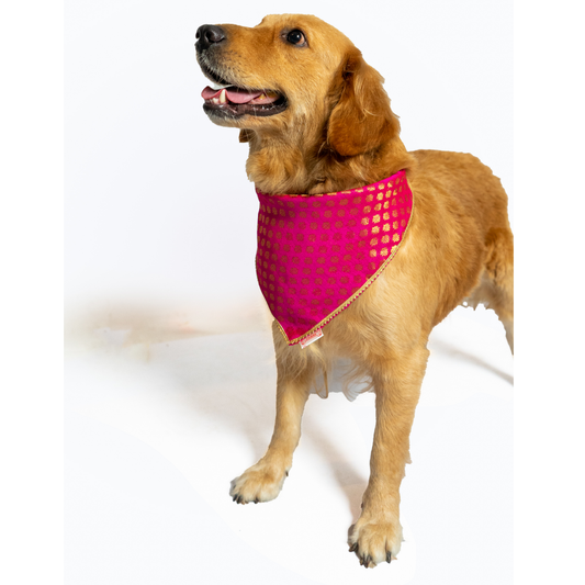 Pawgypets Occasion Wear Bandana for Dogs and Cats Pink