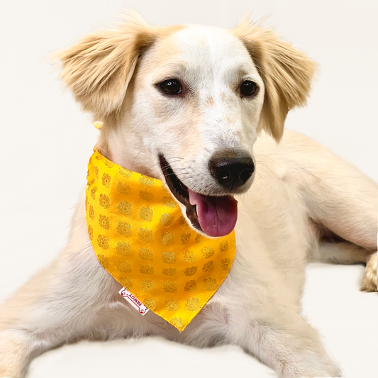 Pawgypets Occasion Wear Bandana for Dogs and Cats Yellow