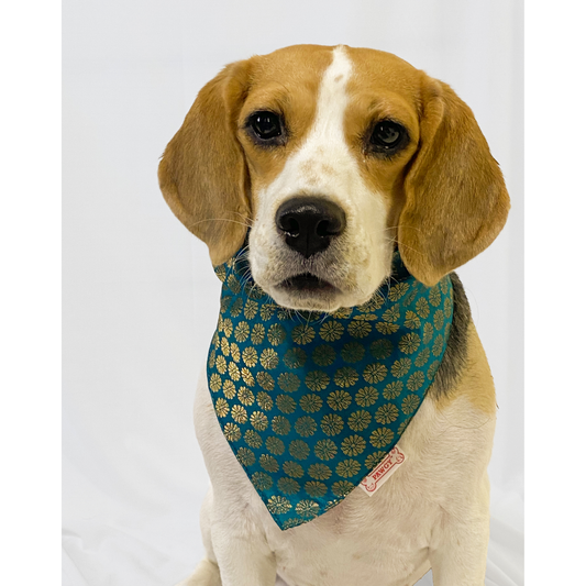 Pawgypets Occasion Wear Bandana for Dogs and Cats Teal Blue