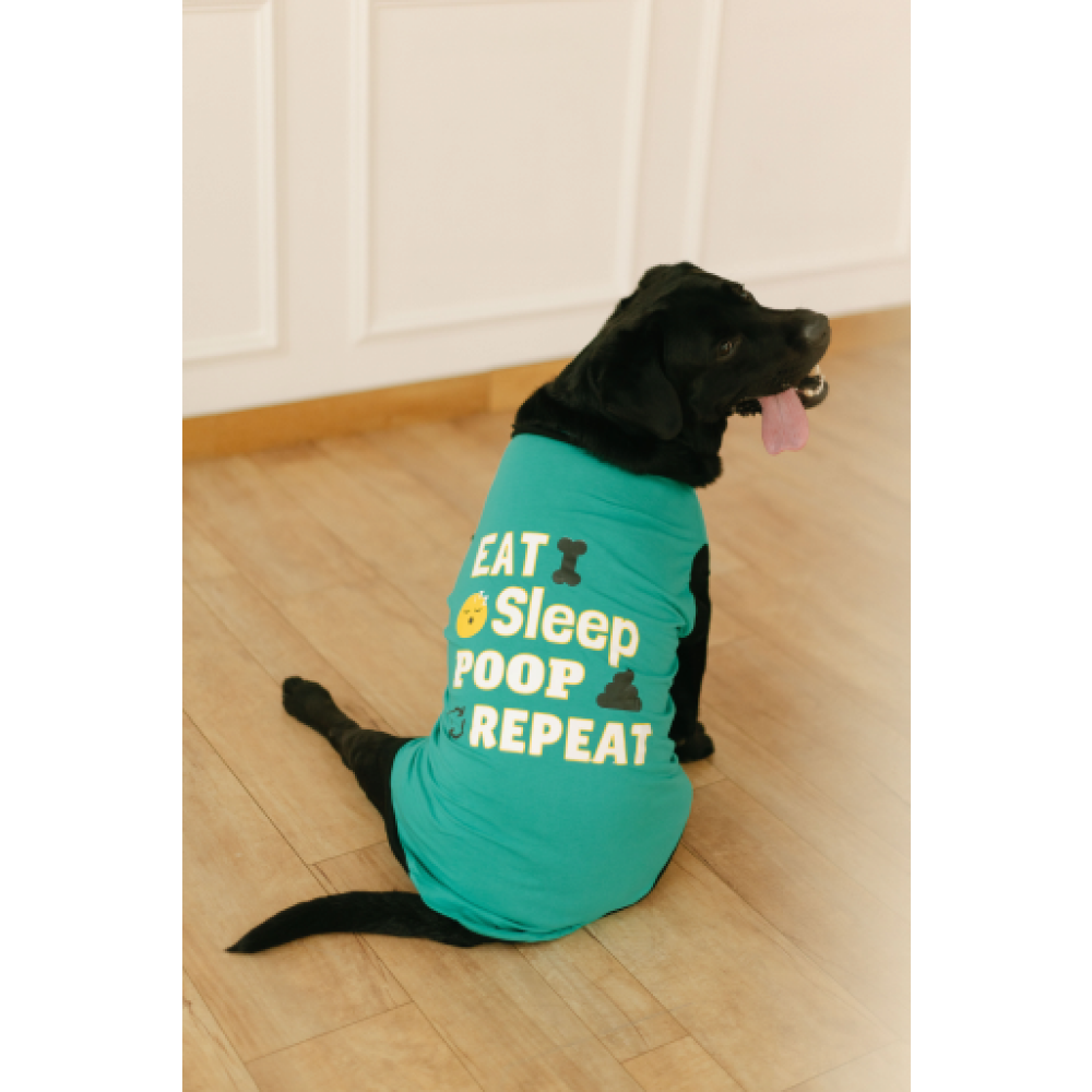 Pet Set Go Eat Sleep Poop Repeat T-shirt for  Dogs Cyan