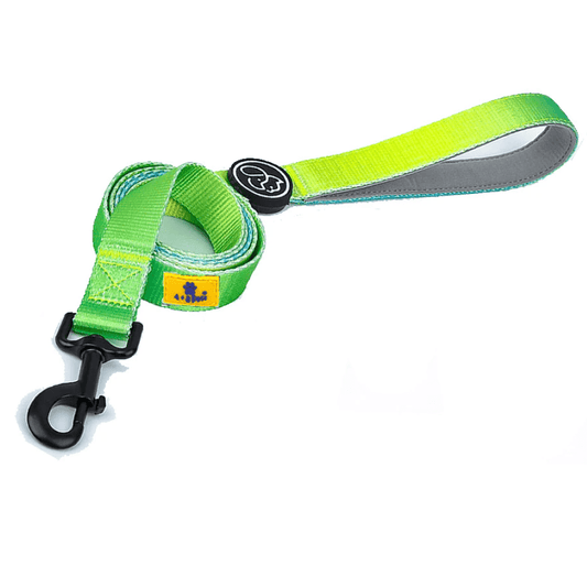 A Plus A Pets Skin Friendly Gradient Design Leash for Dogs 5ft Green