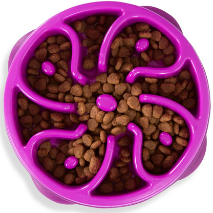 Outward Hound FunSlow Feeder for Dogs Purple