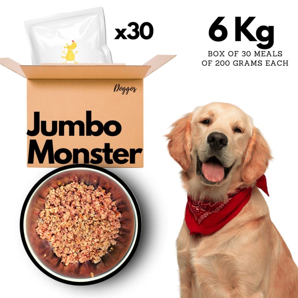 Doggos Jumbo Monster Chicken and Pumpkin Fresh Dog Wet Food All Breeds