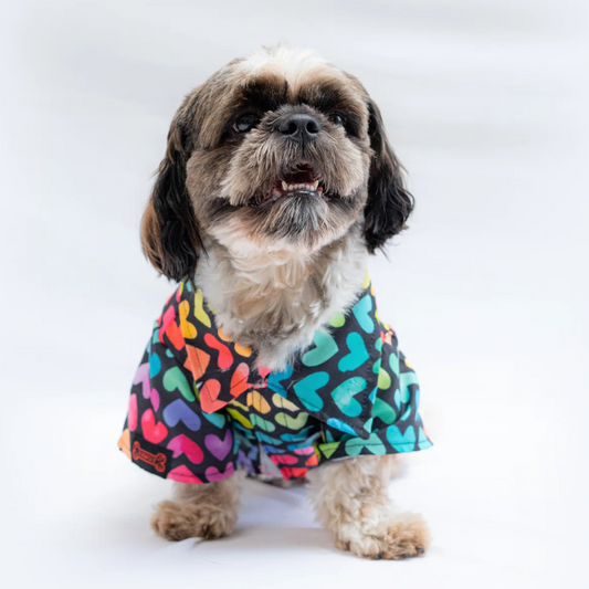 Pawgypets Multi Heart Shirt for Dogs Multi Colour