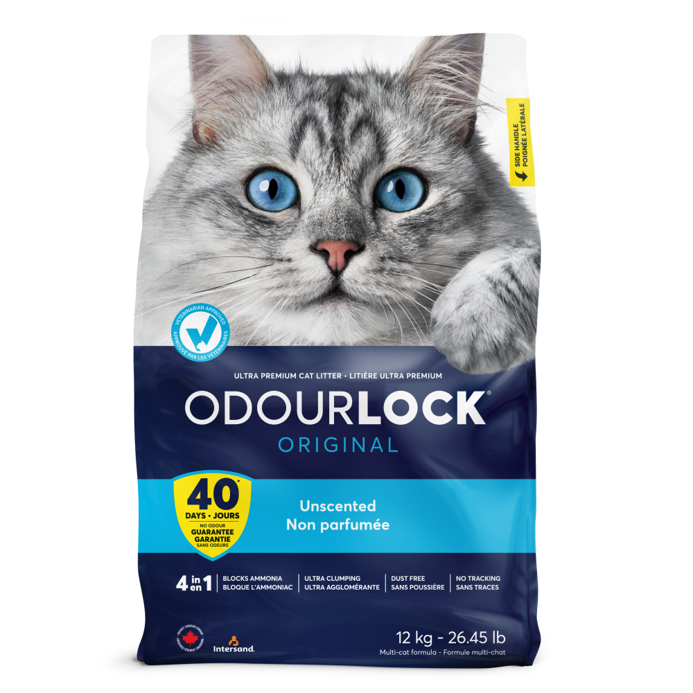 Intersand Unscented Odour Lock Cat Litter