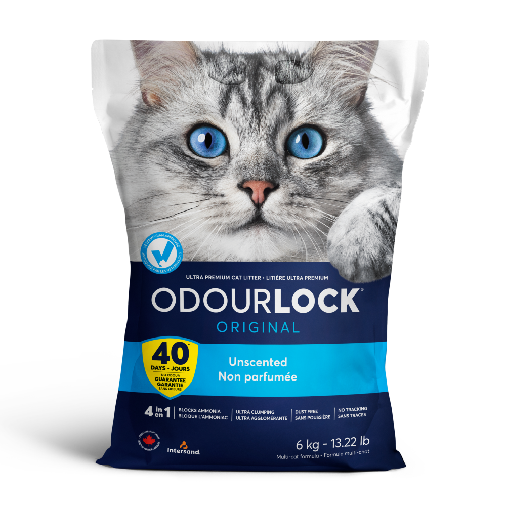 Intersand Unscented Odour Lock Cat Litter