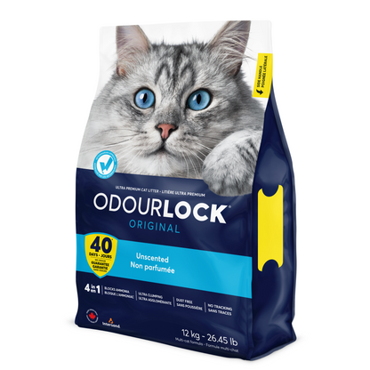 Intersand Unscented Odour Lock Cat Litter