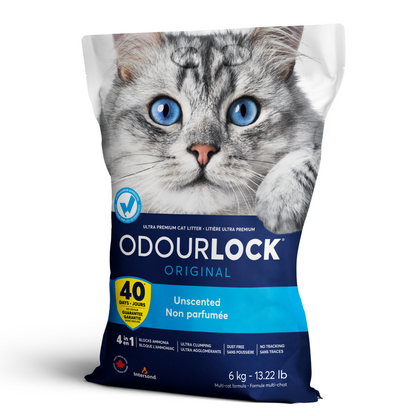 Intersand Unscented Odour Lock Cat Litter