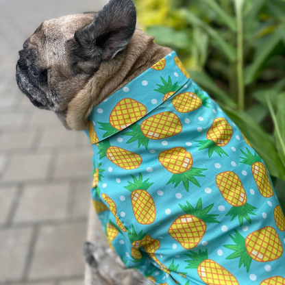 15buttons Pineapple Polka Shirt for Dogs