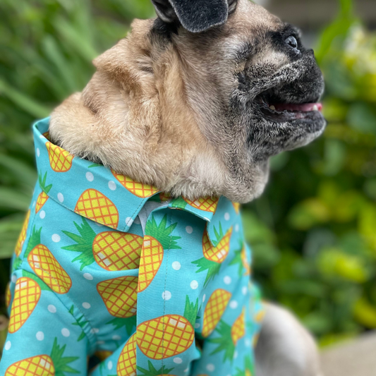 15buttons Pineapple Polka Shirt for Dogs