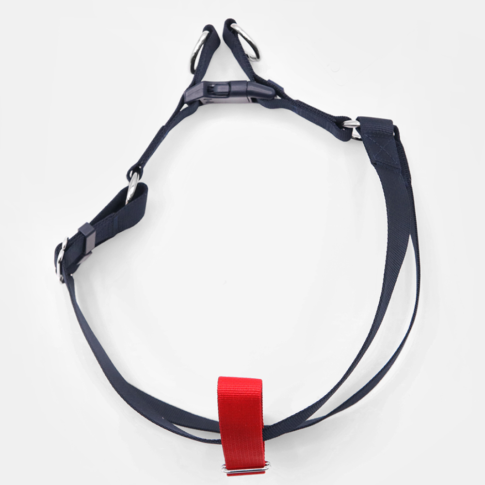 Tommy Hilfiger Blocked Harness for Dogs Red