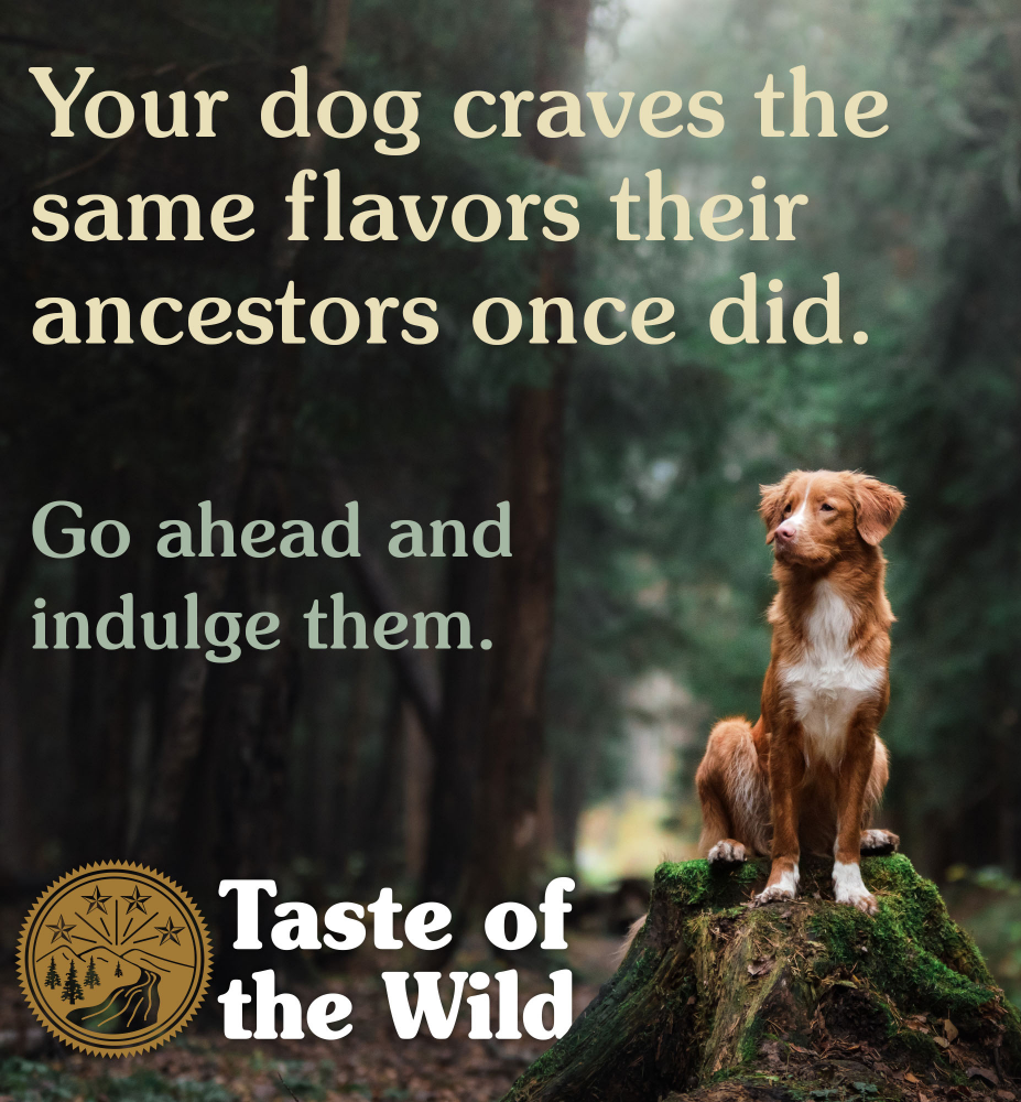 Taste of the Wild Wetlands Canine Recipe with Roasted Fowl Adult Dog Dry Food  Grain Free Formula