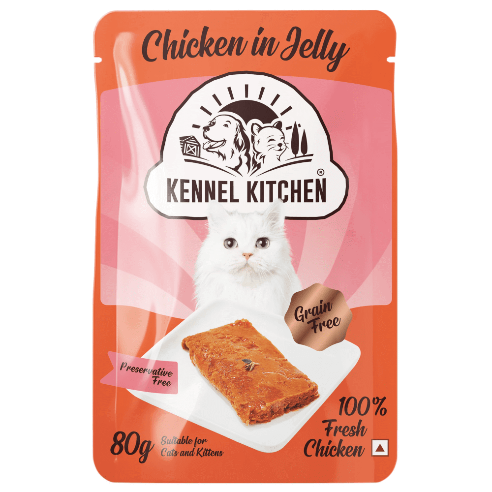 Kennel Kitchen Chicken in Jelly Kitten  Adult Cat Wet Food All Life Stage