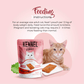 Kennel Kitchen Chicken in Jelly Kitten  Adult Cat Wet Food All Life Stage