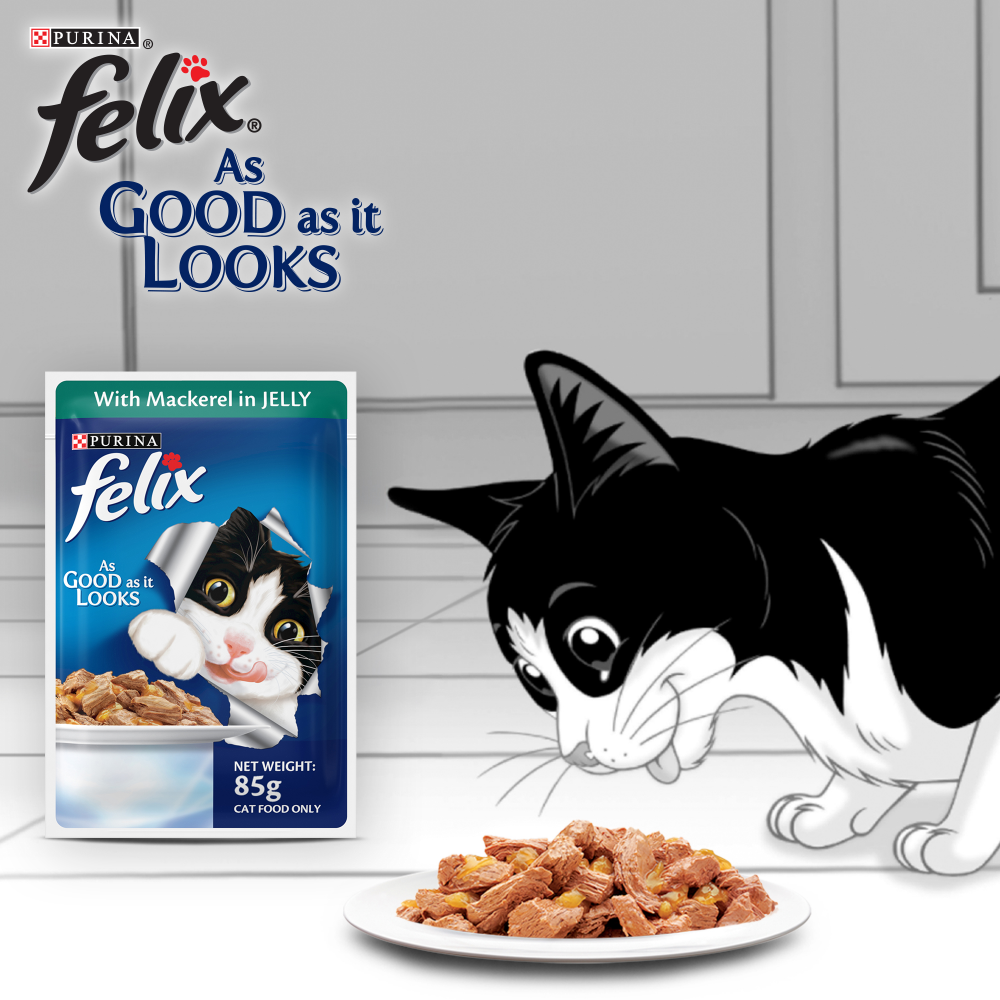 Purina Felix Mackerel Salmon and Tuna with Jelly Adult Cat Wet Food Combo