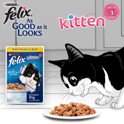 Purina Felix Mackerel with Jelly Adult and Chicken with Jelly Kitten Cat Wet Food Combo